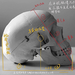 萤烛采集到绘画素材|自用向【灵感来源·参考参照】2