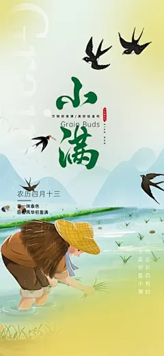 传统二十四节气小满海报