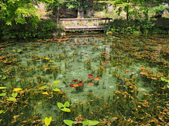 水水+采集到大自然