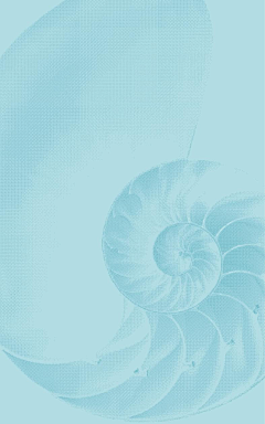 恋夏我的滋味~采集到wei