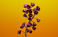 ID-958800-高清晰紫色贝母花壁纸高清大图