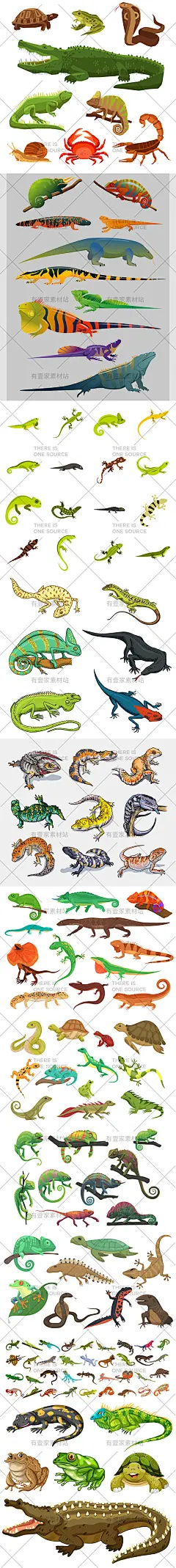 卡通手绘恐怖爬行动物变色龙蜥蜴鳄鱼青蛙乌龟插画AI矢量设计素材-淘宝网