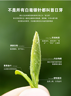 =-=-*采集到详情页+海报