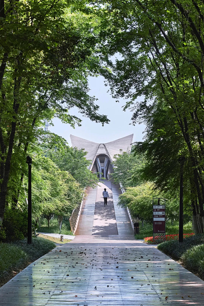 太禾设计 | 兰湖旅游度假区启动区设计