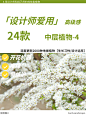 本期更新： #喷雪花#白美人狼尾草#宿根风铃草#毛地黄#地被植物