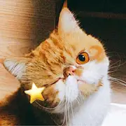 阿雅啊-