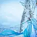 阿灼w