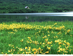 杨喵猫采集到风景