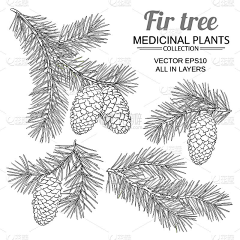 用户wF1LW4BN采集到植物