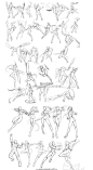 #资源君# 原画师的武术动作秘籍！线描人体动作姿势图合集！超全面、齐全，天天练练练，天下武功，为练不破，转需~ ​​​​