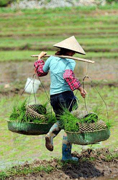 伊恩爷爷采集到照片