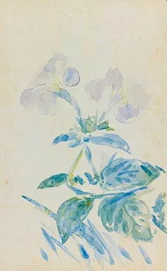 Artforus - 梅子白兰地