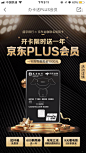 专题 H5 