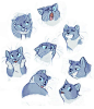 Kitty Expressions by Bedupolker
