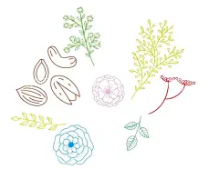 植物线条  - 源文件下载【酷图网】彩色,手绘,线条,植物,叶子,叶片,设计,生物世界,花草,AI,