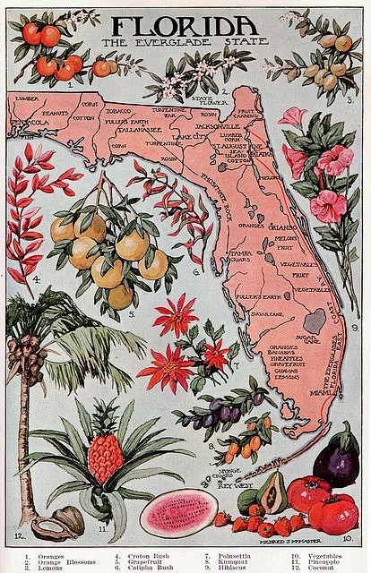 vintage fl map