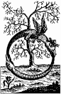 The Ouroboros and the Tree of Life 衔尾蛇（龙）与生命之树（加起上来好像是“龙树”）