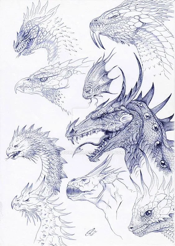 龙，dragon，龙头，龙翅膀，教程，龙绘画教程，西方龙，帅气，霸气，酷-花瓣网