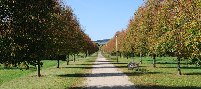 Rehwaldt Landscape A...