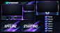 Twitch Livestream Designs (Stream Packages/Overlays) : Livestream designs by Mixo.