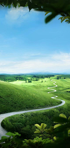 刘高嗲采集到大合成背景
