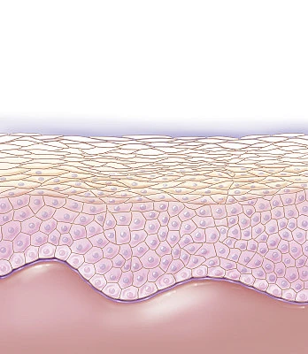SKIN, ILLUSTRATION-花瓣网