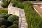 Mosman landscape architecture