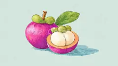 山竹 水果 溢香1高清模板免费下载-趣麦麦图