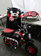 くまモン kumamon: 