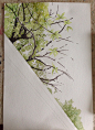 夏日那一抹绿-羽_Rachel_小清新,手绘,水彩,插画,场景,风景_涂鸦王国插画