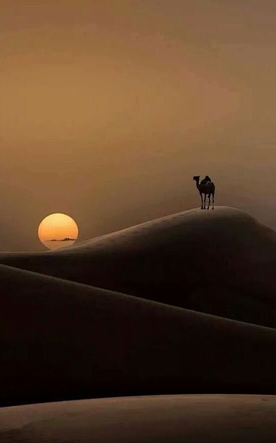 A never ending day.....