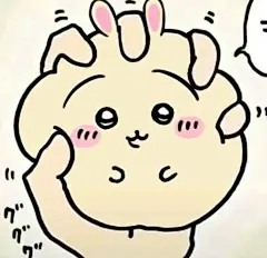 一人一个537表情包！__来自小红书网页版