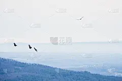 蓝岭山脉