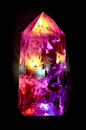 janetmillslove:

Crystal moment love. Wild Fauna Love