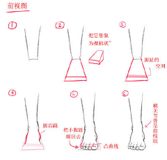 拾夏_SHIXIA采集到技法形体