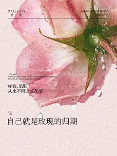 肌肤花期 - 小红书