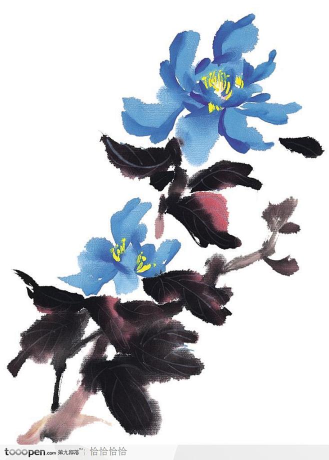 中国国画之花类植物-蓝牡丹