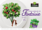 Florette: Freshness & Fantasy, 1