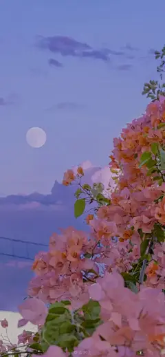 风景壁纸 - 高清图片，堆糖，美图壁纸兴趣社区