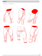 腿部结构和腿部肌肉结构画法解析