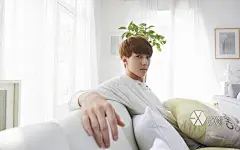 EXO吴世勋高清桌面壁纸 第9页-ZOL桌面壁纸