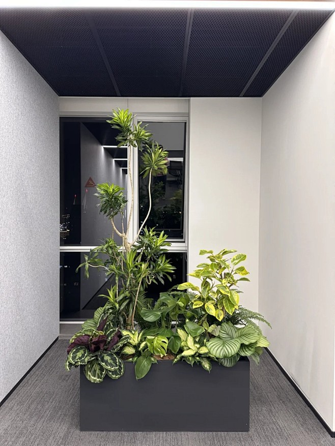 室内花箱绿植隔断