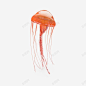 海洋生物橙色水母 创意素材