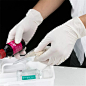 High Quality Disposable Gloves CE Approved Medical Gloves