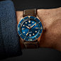 C65 Aquitaine Bronze COSC | Christopher Ward