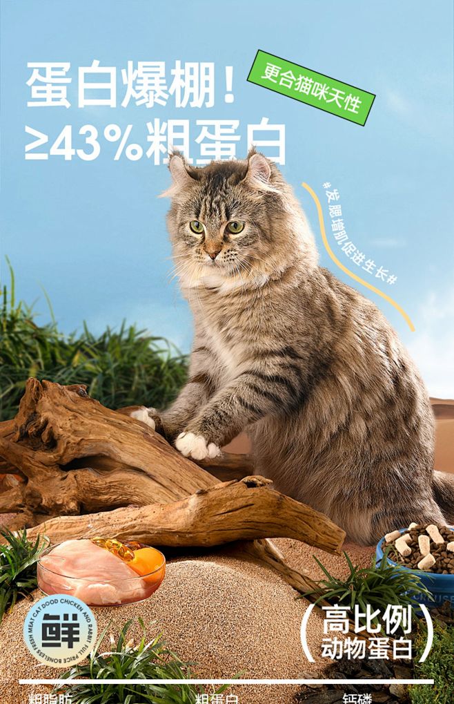 瑞梦迪 冻干生骨肉双拼猫粮50g*5全价...