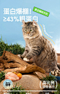 瑞梦迪 冻干生骨肉双拼猫粮50g*5全价无谷鲜肉粮高蛋白全阶段通用-tmall.com天猫