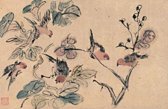 车云杉采集到设计
