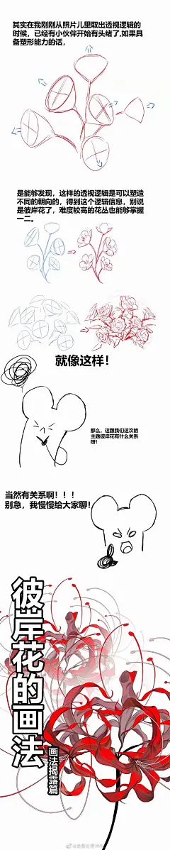 彼岸花的画法