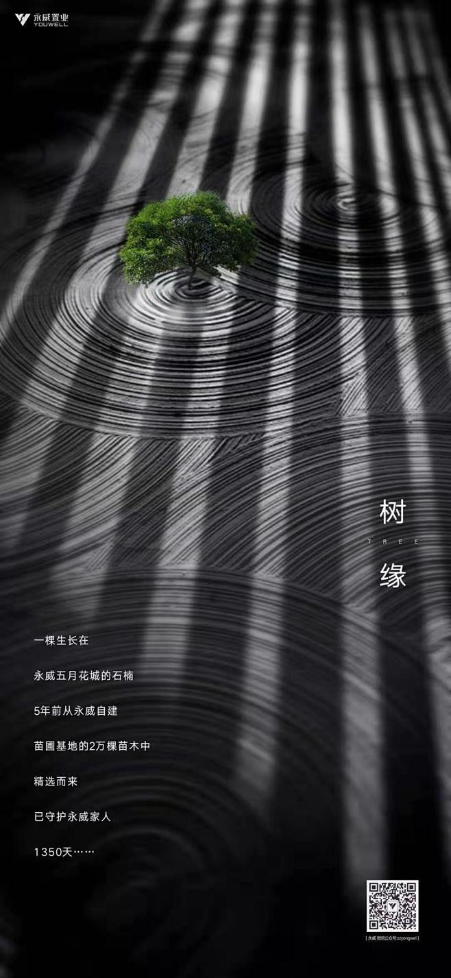 _平面设计 _急急如率令-B337354...